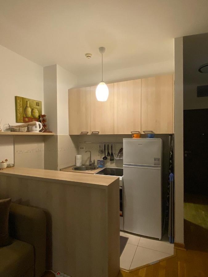 Delta Apartman 포드고리차 외부 사진